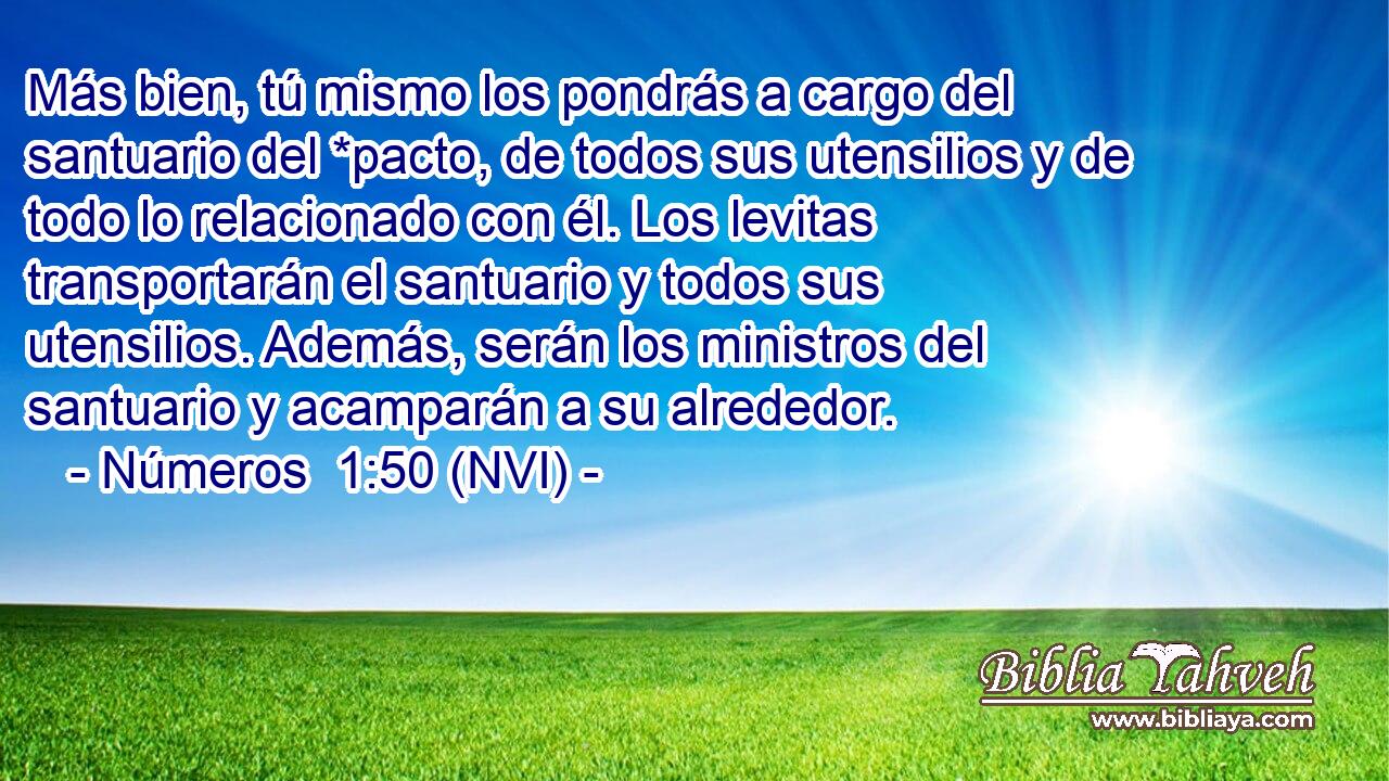  Más bien, tú mismo los pondrás a cargo del santuario del *pacto, de todos sus utensilios y de todo lo relacionado con él. Los levitas transportarán el santuario y todos sus utensilios. Además, serán los ministros del santuario y acamparán a su alrededor. 