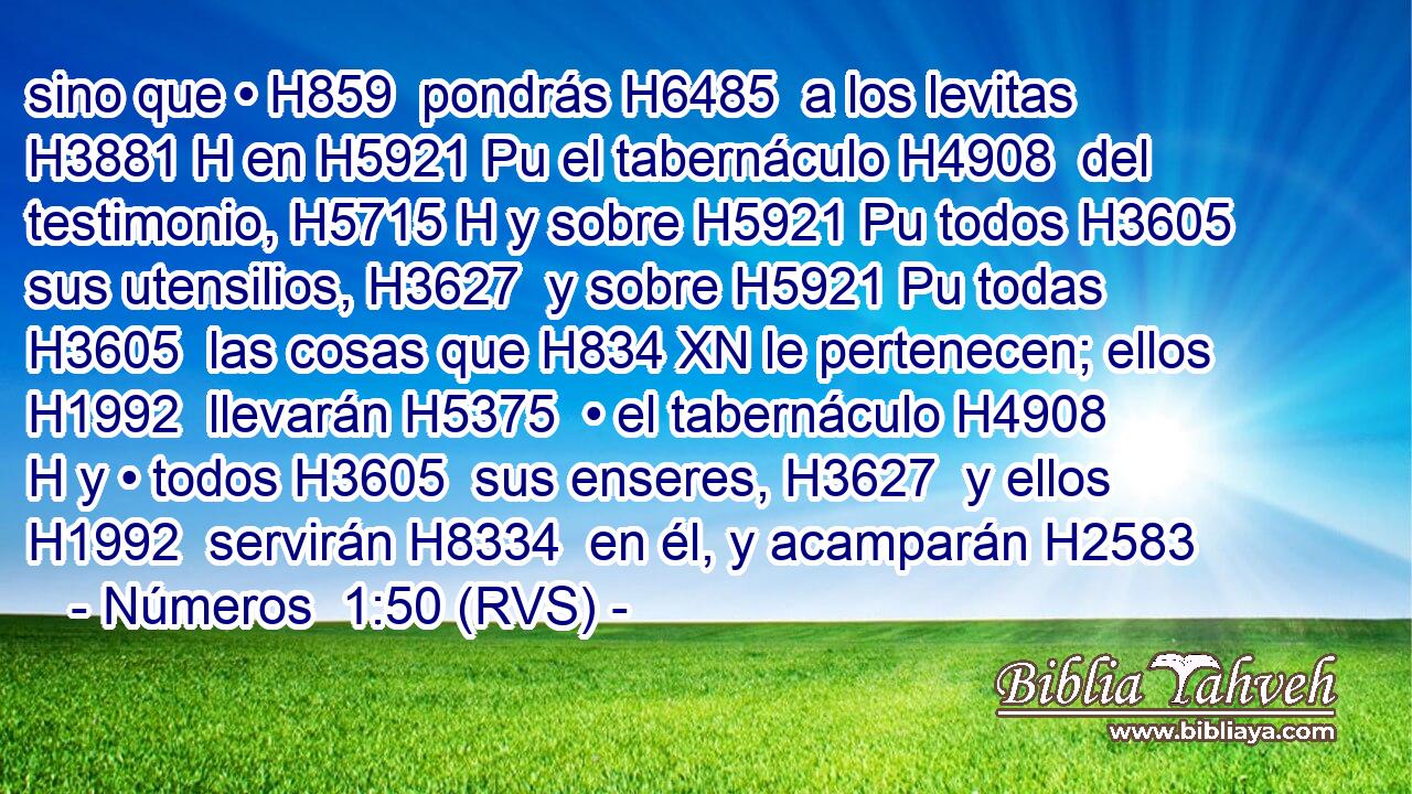 sino que • H859  pondrás H6485  a los levitas H3881 H en H5921 Pu el tabernáculo H4908  del testimonio, H5715 H y sobre H5921 Pu todos H3605  sus utensilios, H3627  y sobre H5921 Pu todas H3605  las cosas que H834 XN le pertenecen; ellos H1992  llevarán H5375  • el tabernáculo H4908 H y • todos H3605  sus enseres, H3627  y ellos H1992  servirán H8334  en él, y acamparán H2583