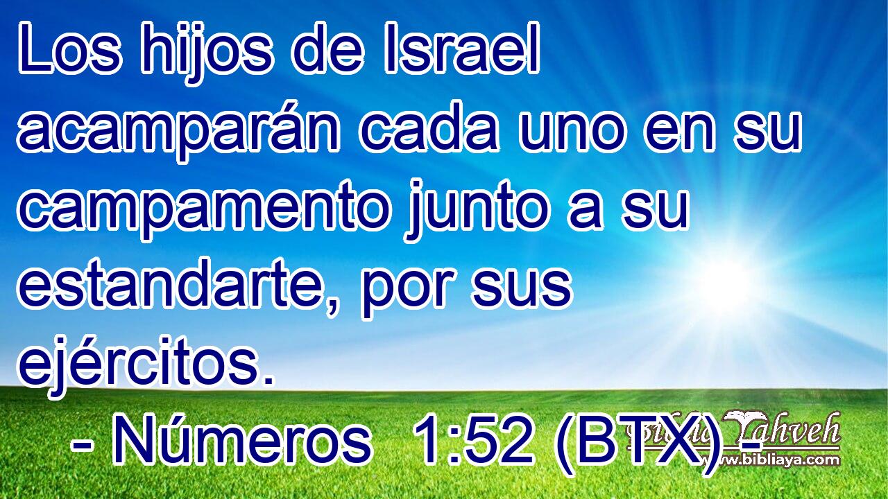 Los hijos de Israel acamparán cada uno en su campamento junto a su estandarte, por sus ejércitos.