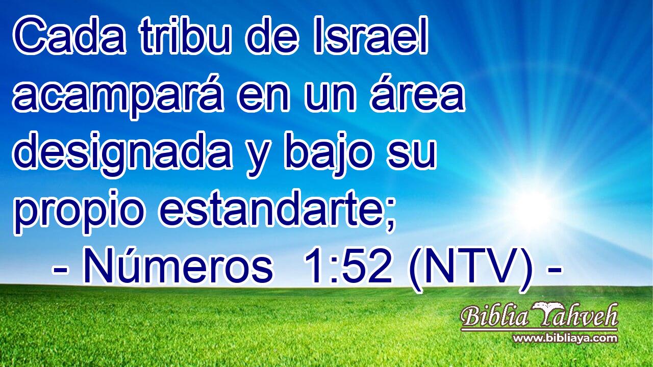 Cada tribu de Israel acampará en un área designada y bajo su propio estandarte;