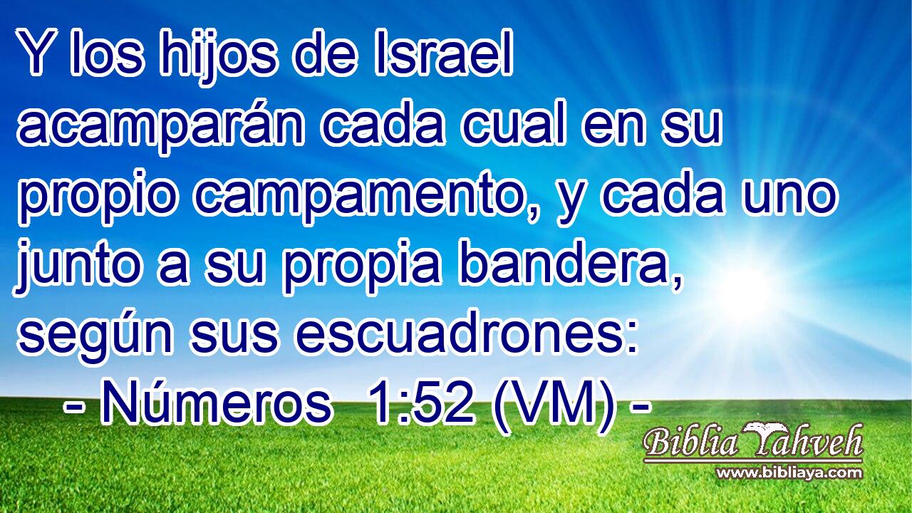  Y los hijos de Israel acamparán cada cual en su propio campamento, y cada uno junto a su propia bandera, según sus escuadrones: 
