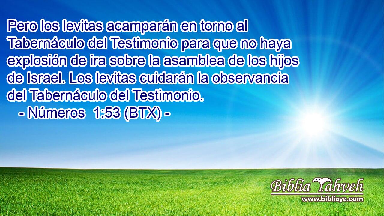 Pero los levitas acamparán en torno al Tabernáculo del Testimonio para que no haya explosión de ira sobre la asamblea de los hijos de Israel. Los levitas cuidarán la observancia del Tabernáculo del Testimonio.