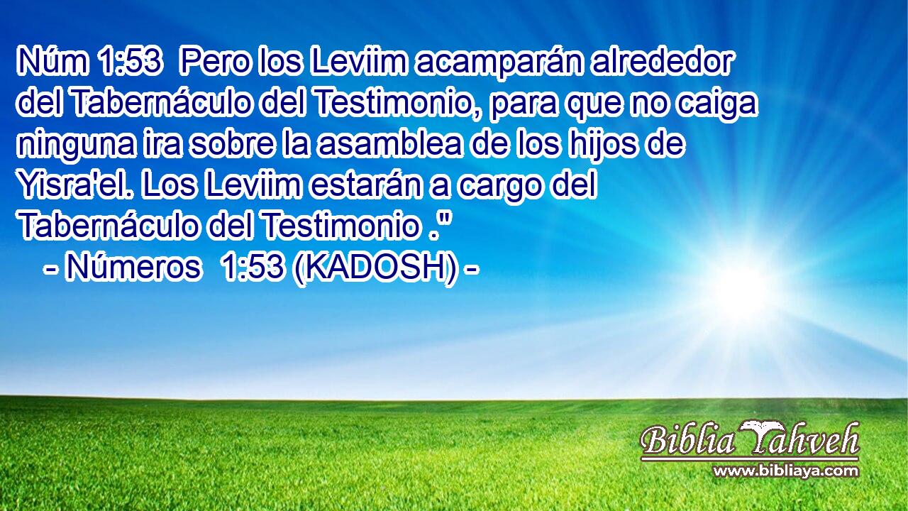  Pero los Leviim acamparán alrededor del Tabernáculo del Testimonio, para que no caiga ninguna ira sobre la asamblea de los hijos de Yisra'el. Los Leviim estarán a cargo del Tabernáculo del Testimonio .