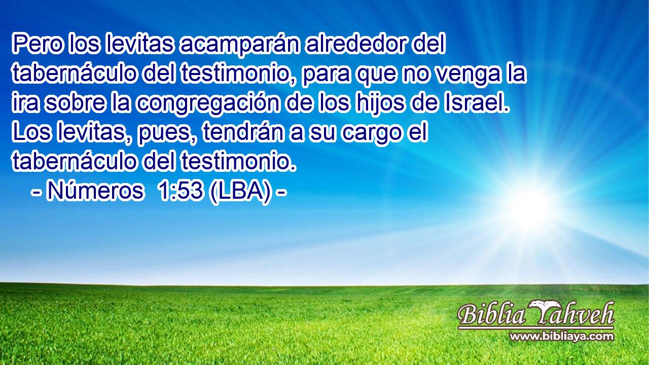 Pero los levitas acamparán alrededor del tabernáculo del testimonio, para que no venga la ira sobre la congregación de los hijos de Israel. Los levitas, pues, tendrán a su cargo el tabernáculo del testimonio.