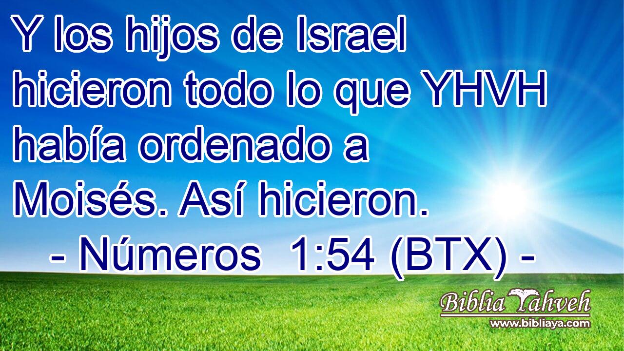 Y los hijos de Israel hicieron todo lo que YHVH había ordenado a Moisés. Así hicieron.