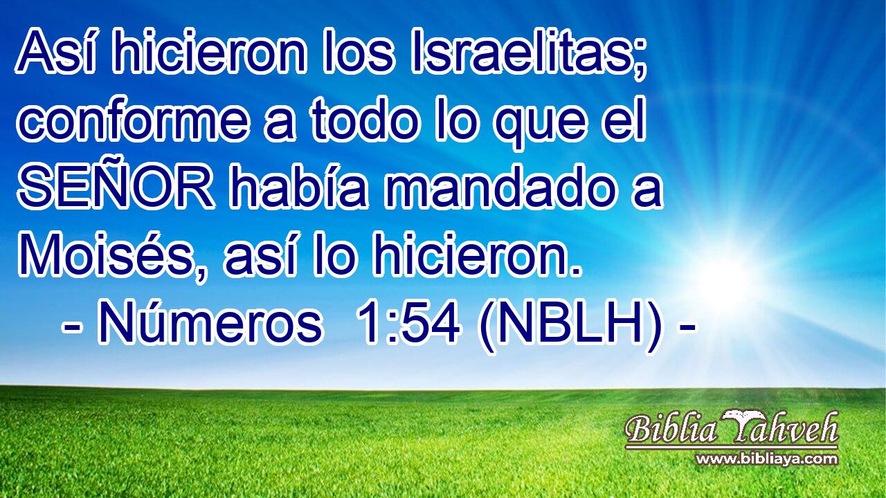  Así hicieron los Israelitas; conforme a todo lo que el SEÑOR había mandado a Moisés, así lo hicieron. 