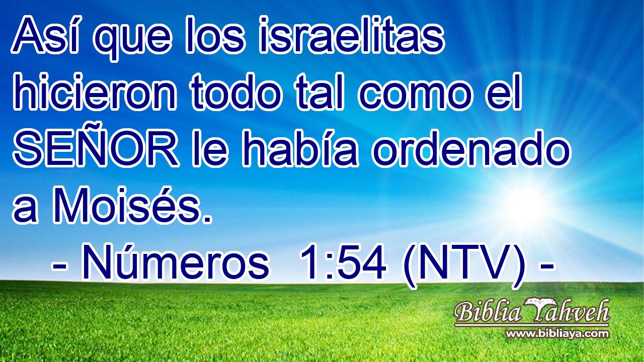 Así que los israelitas hicieron todo tal como el SEÑOR le había ordenado a Moisés.
