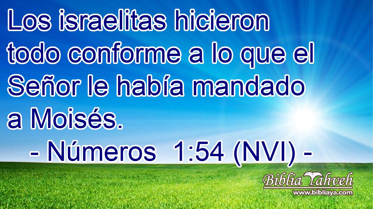  Los israelitas hicieron todo conforme a lo que el Señor le había mandado a Moisés. 