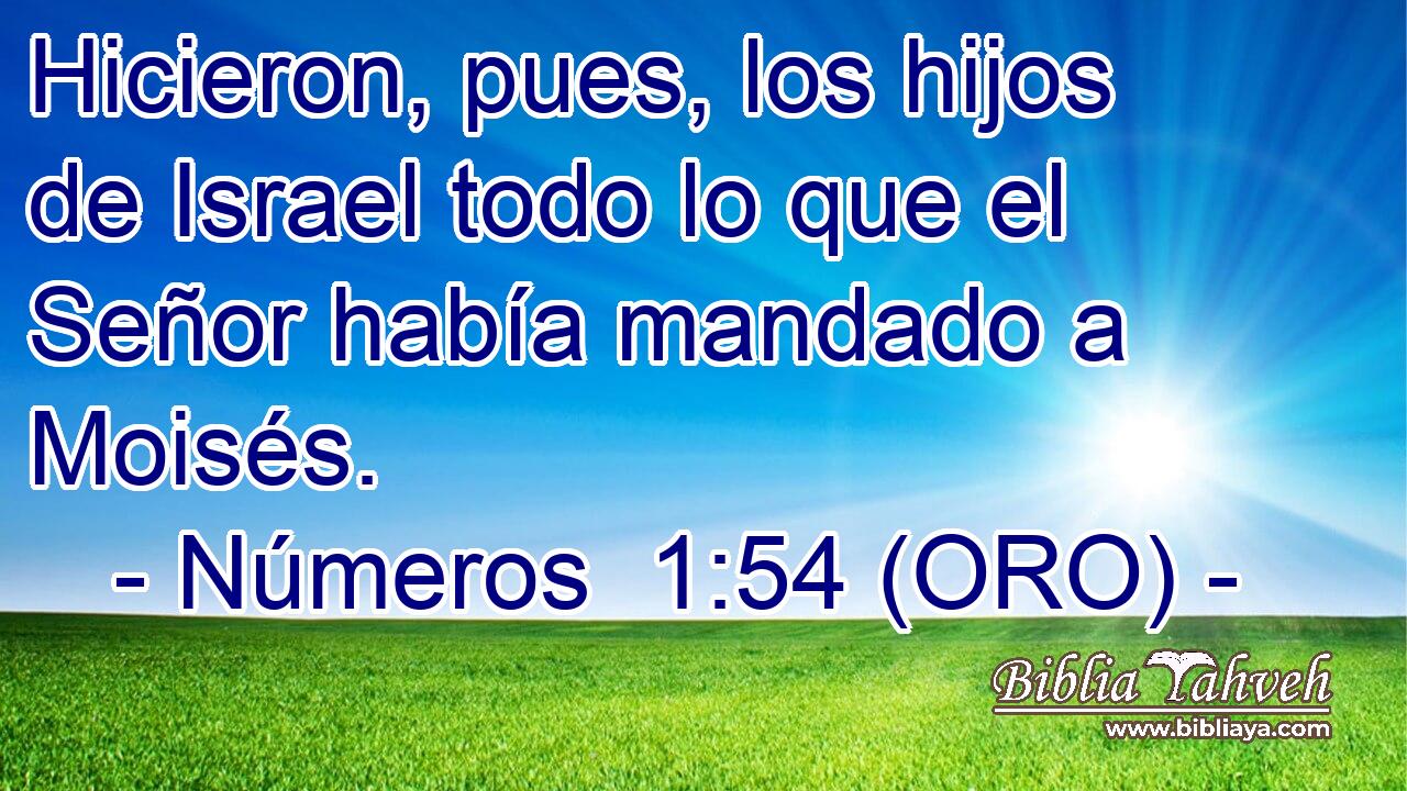  Hicieron, pues, los hijos de Israel todo lo que el Señor había mandado a Moisés. 