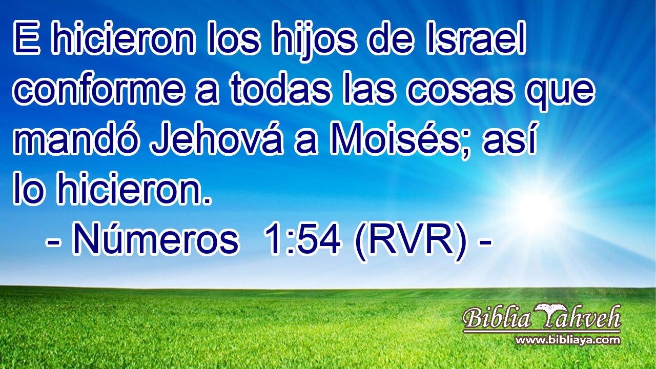 E hicieron los hijos de Israel conforme a todas las cosas que mandó Jehová a Moisés; así lo hicieron.