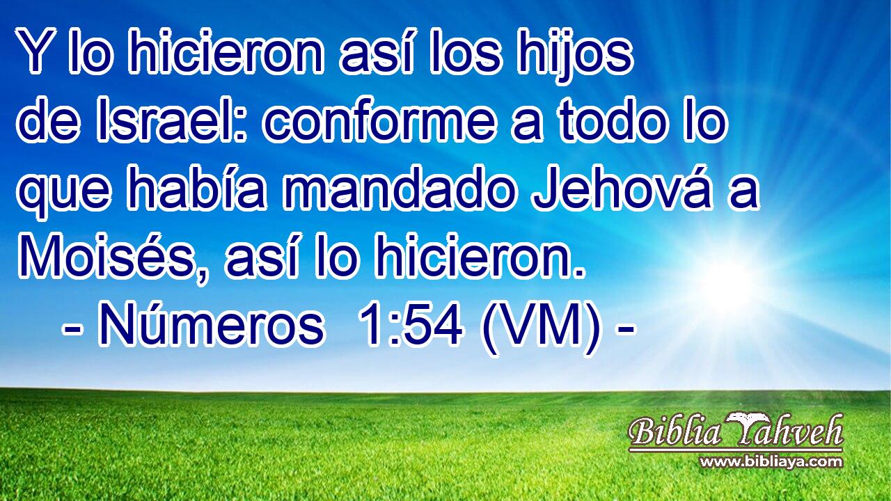 Y lo hicieron así los hijos de Israel: conforme a todo lo que había mandado Jehová a Moisés, así lo hicieron. 
