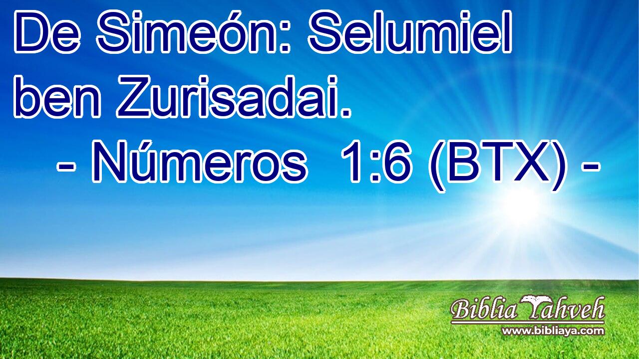 De Simeón: Selumiel ben Zurisadai.