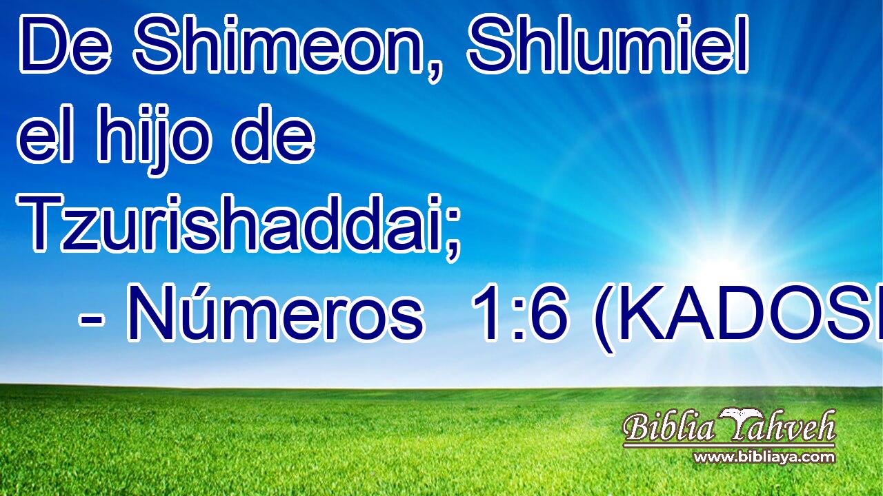  De Shimeon, Shlumiel el hijo de Tzurishaddai; 