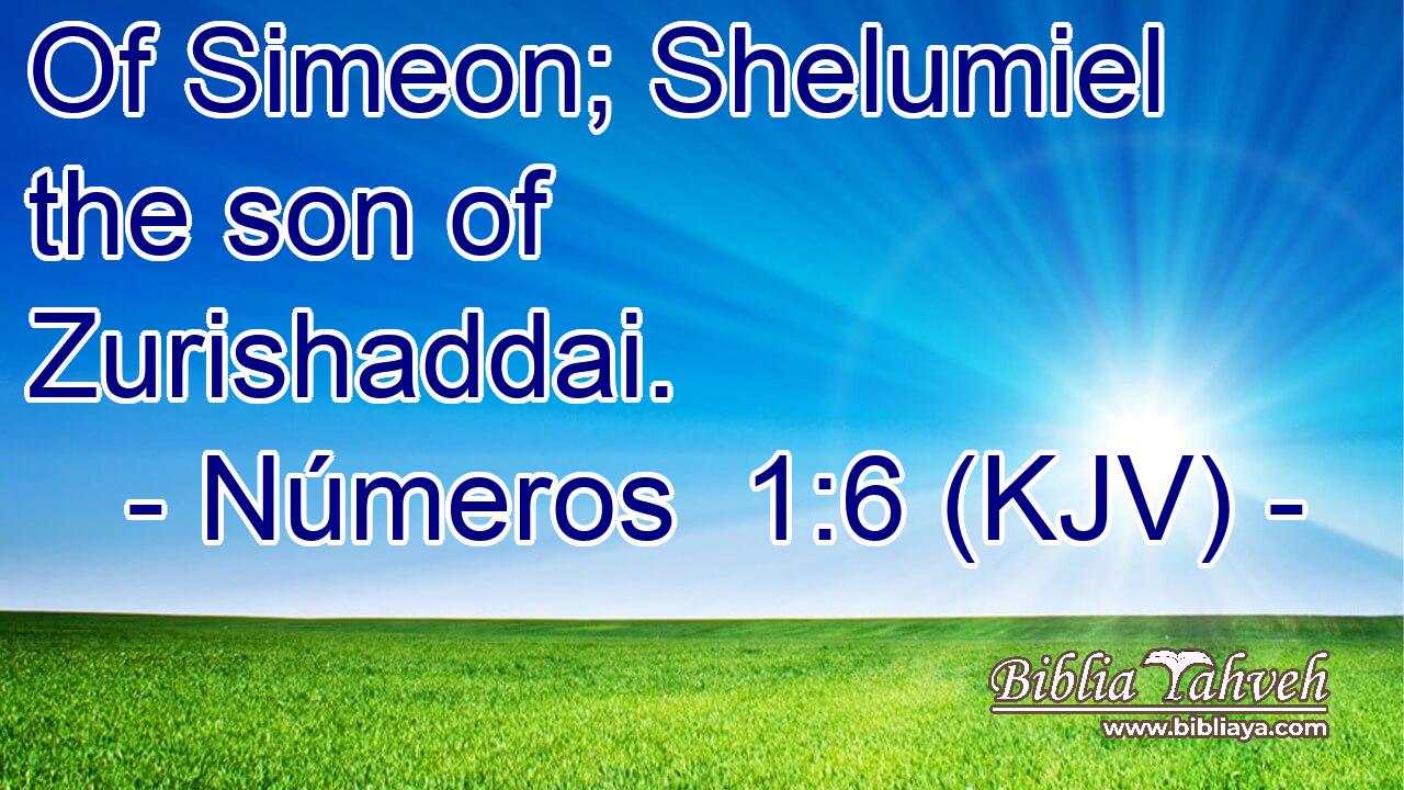 Of Simeon; Shelumiel the son of Zurishaddai.