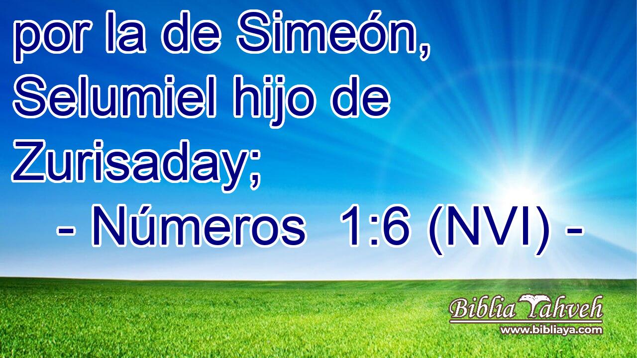  por la de Simeón, Selumiel hijo de Zurisaday; 
