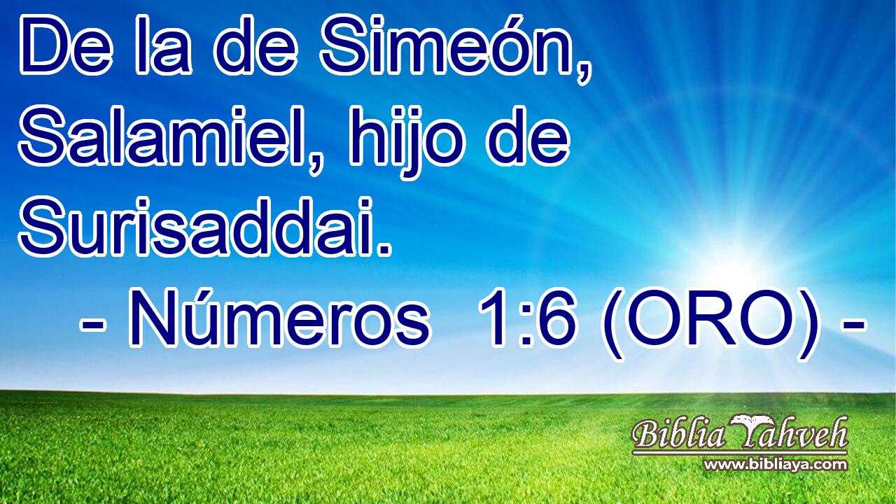  De la de Simeón, Salamiel, hijo de Surisaddai. 