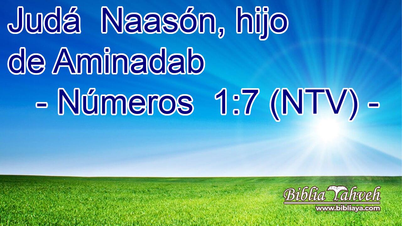 Judá  Naasón, hijo de Aminadab     