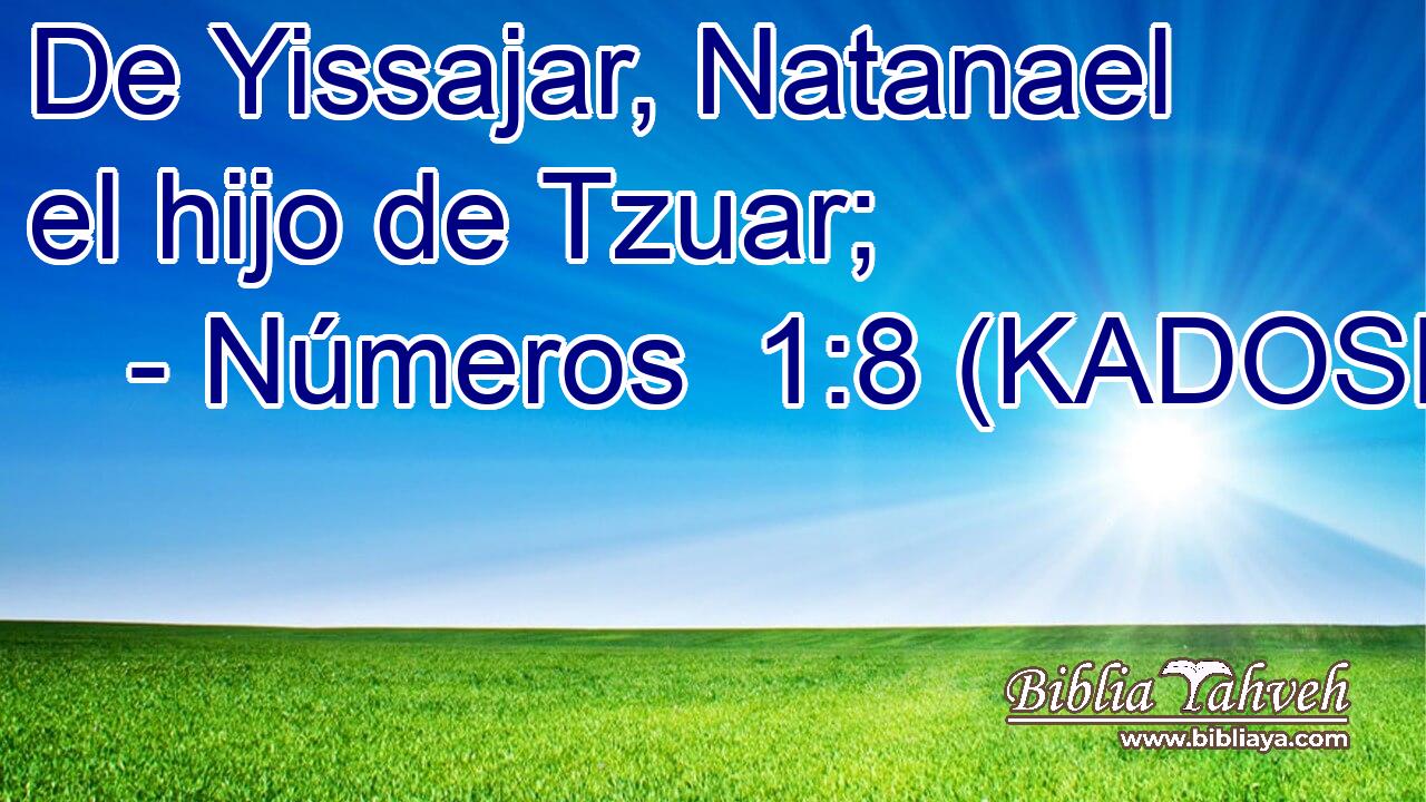  De Yissajar, Natanael el hijo de Tzuar; 