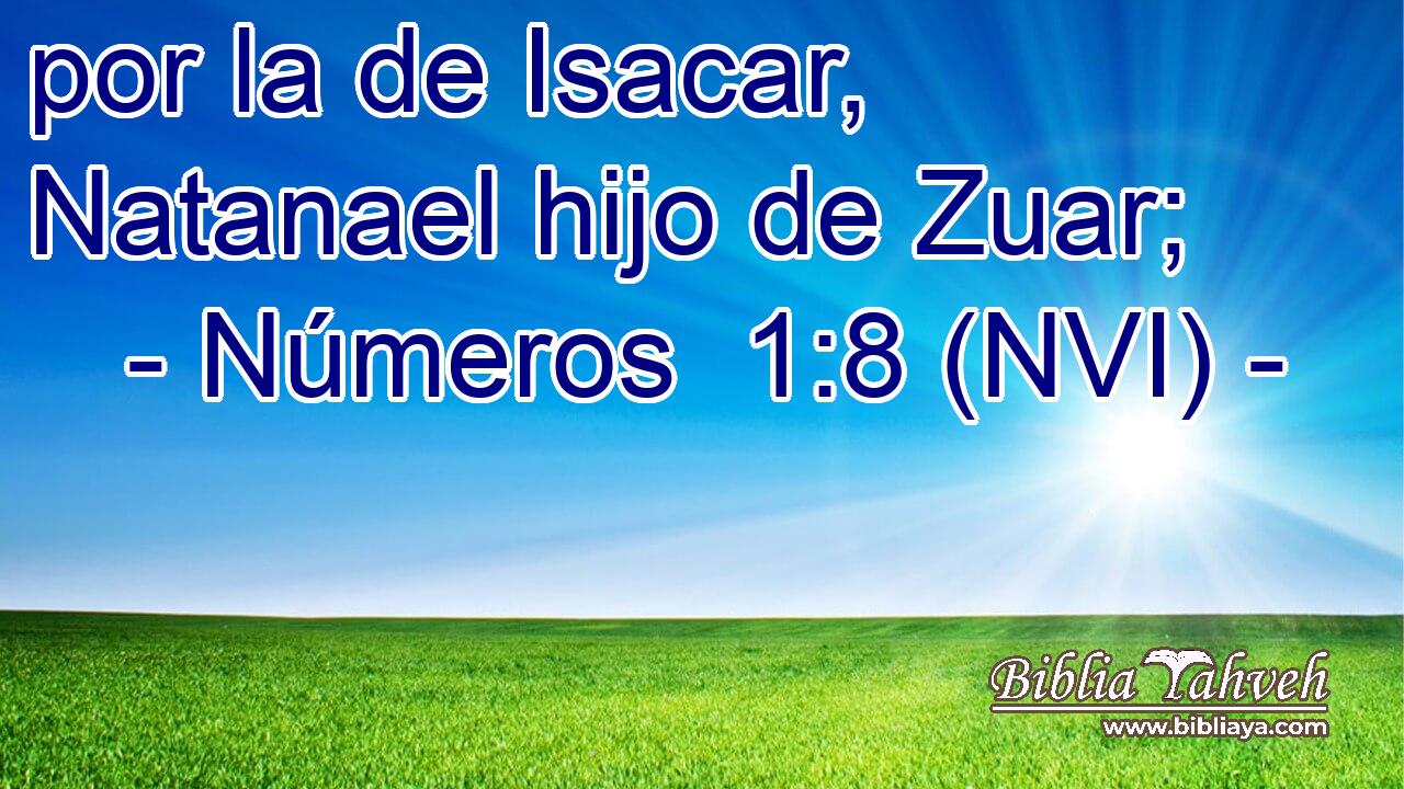  por la de Isacar, Natanael hijo de Zuar; 