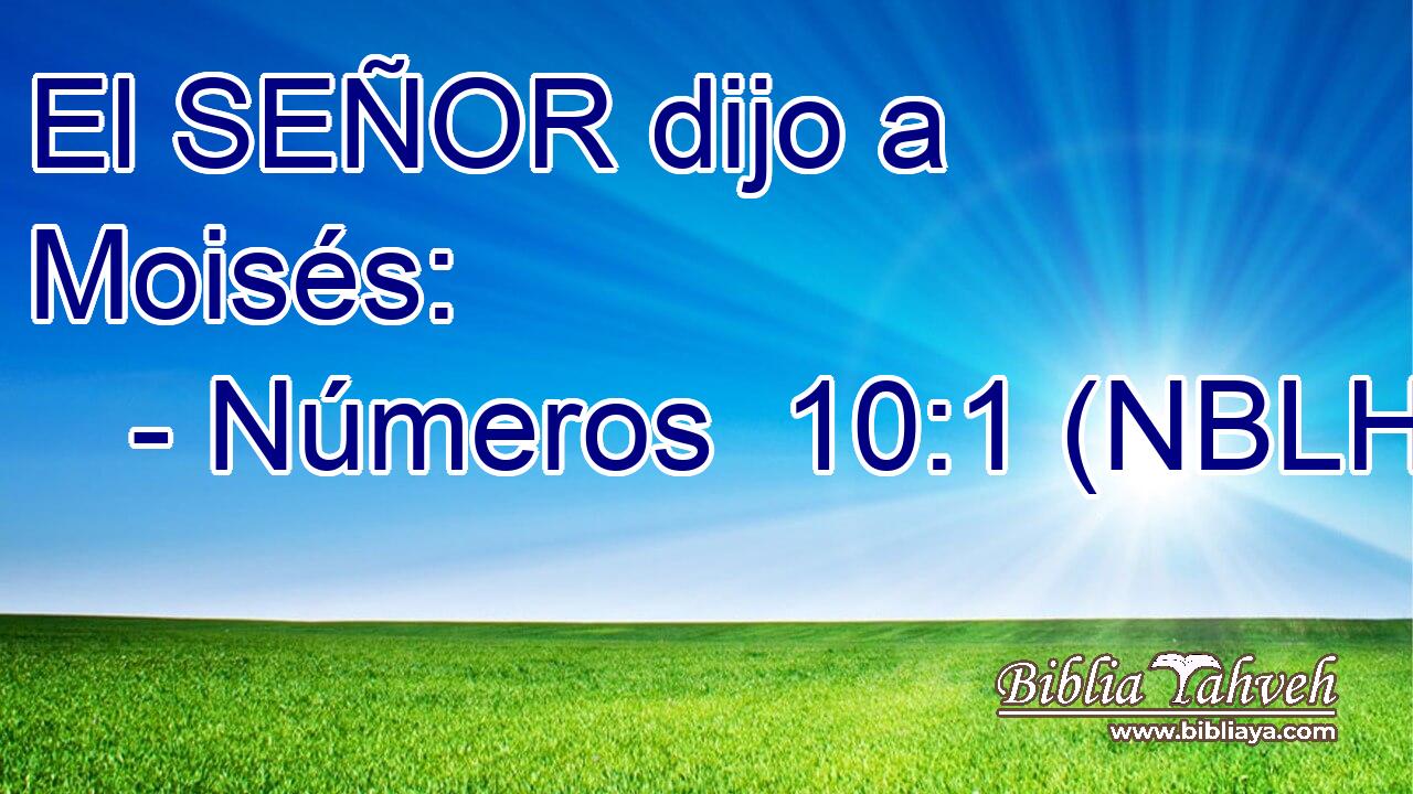  El SEÑOR dijo a Moisés: 