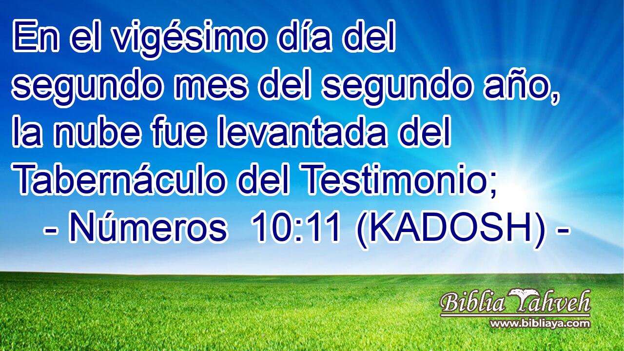  En el vigésimo día del segundo mes del segundo año, la nube fue levantada del Tabernáculo del Testimonio; 