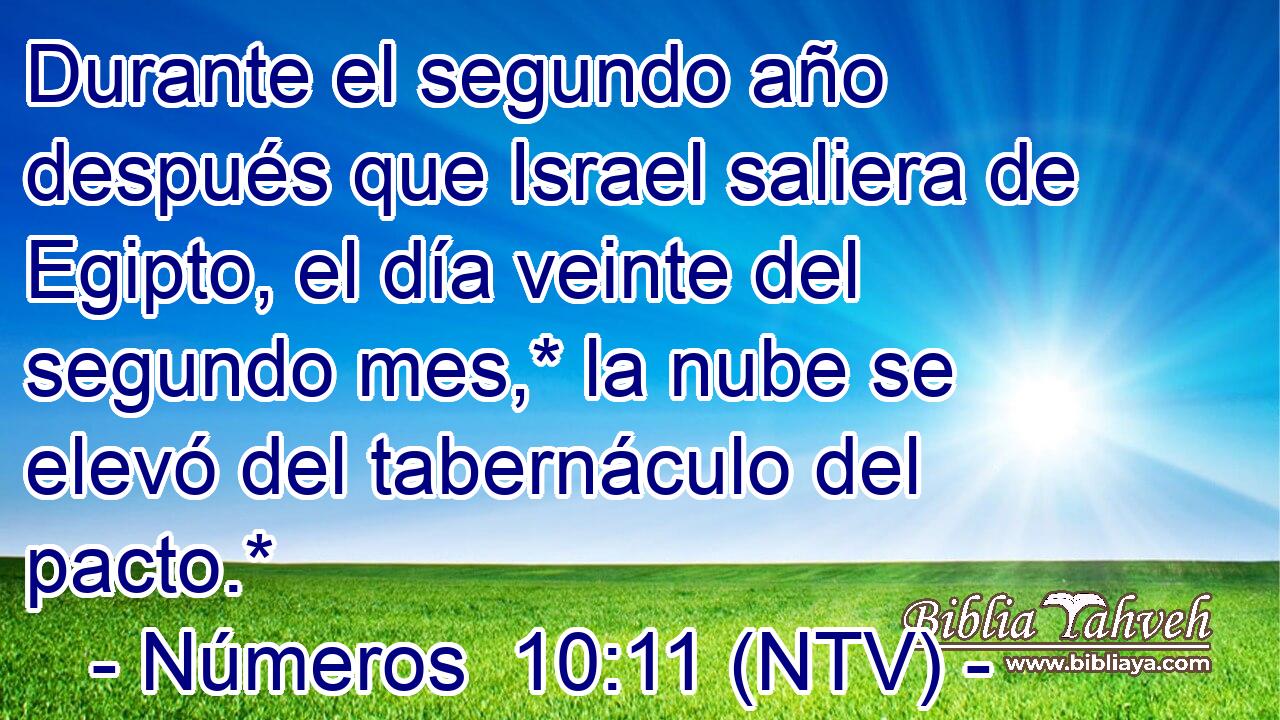 Durante el segundo año después que Israel saliera de Egipto, el día veinte del segundo mes,* la nube se elevó del tabernáculo del pacto.*