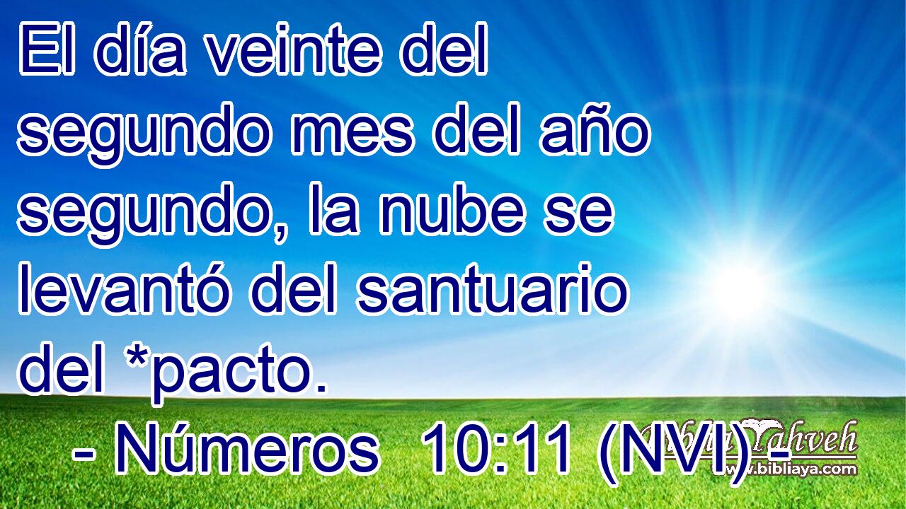  El día veinte del segundo mes del año segundo, la nube se levantó del santuario del *pacto. 