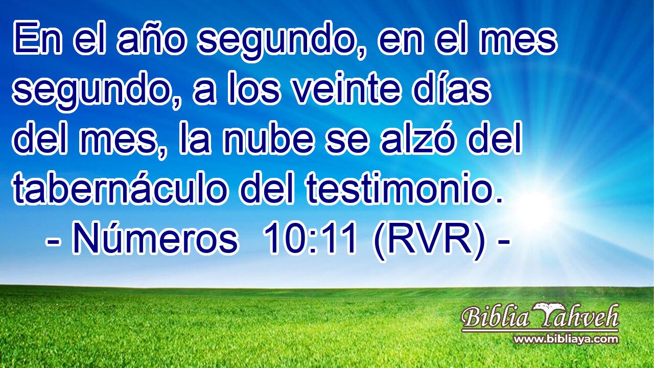 En el año segundo, en el mes segundo, a los veinte días del mes, la nube se alzó del tabernáculo del testimonio.