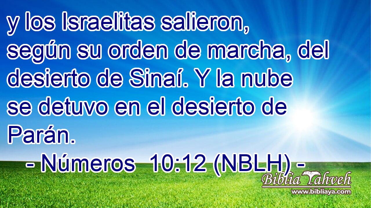  y los Israelitas salieron, según su orden de marcha, del desierto de Sinaí. Y la nube se detuvo en el desierto de Parán. 