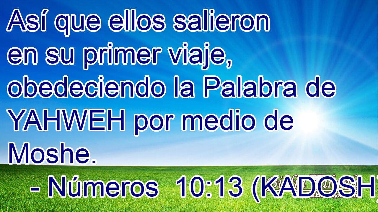  Así que ellos salieron en su primer viaje, obedeciendo la Palabra de YAHWEH por medio de Moshe. 