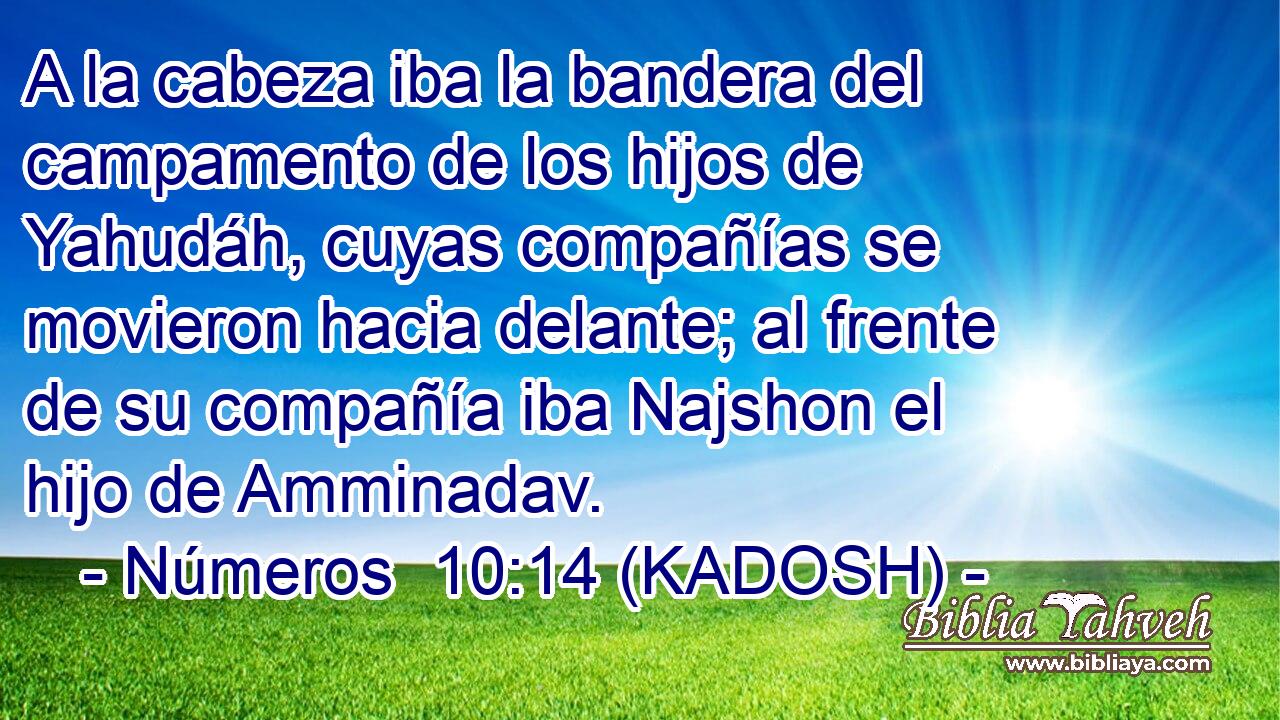  A la cabeza iba la bandera del campamento de los hijos de Yahudáh, cuyas compañías se movieron hacia delante; al frente de su compañía iba Najshon el hijo de Amminadav. 