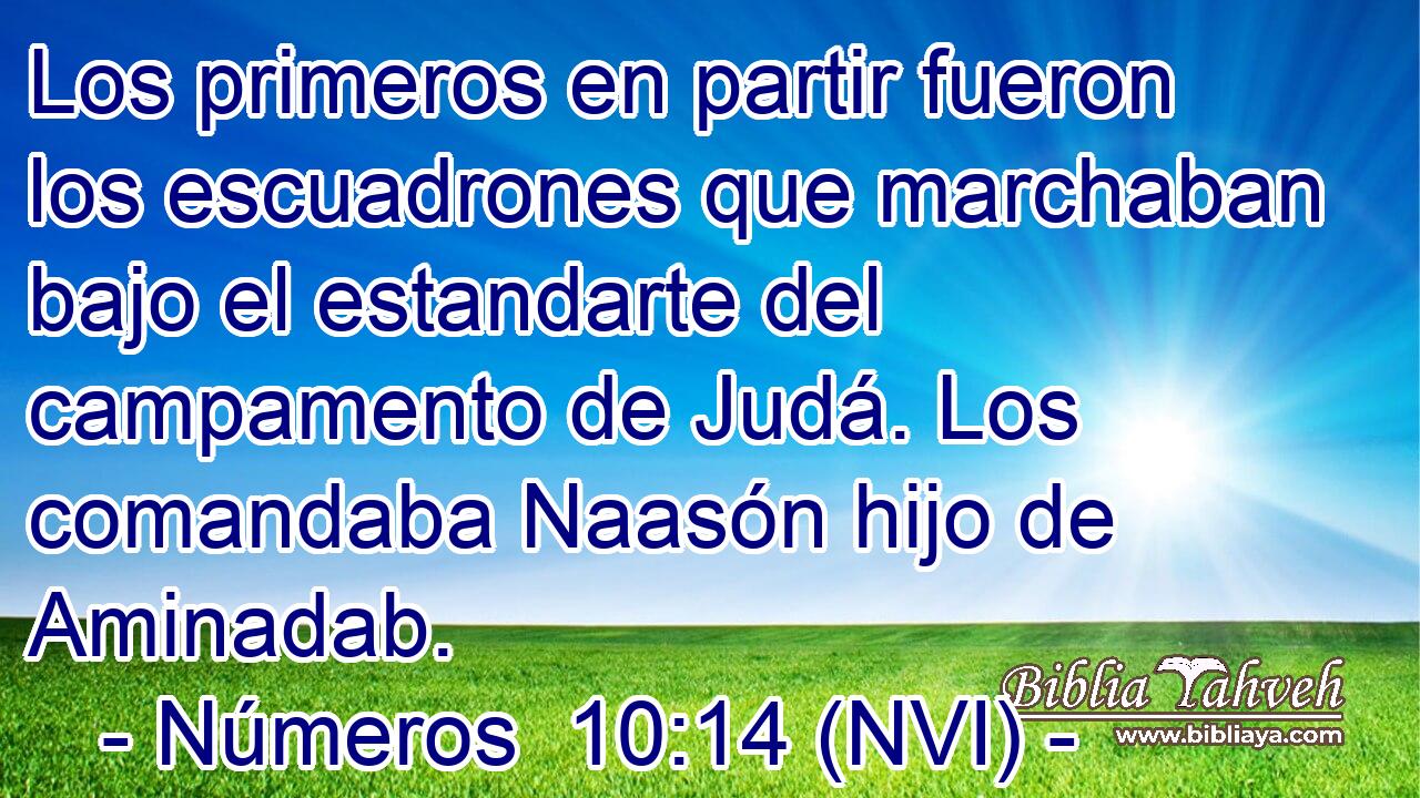  Los primeros en partir fueron los escuadrones que marchaban bajo el estandarte del campamento de Judá. Los comandaba Naasón hijo de Aminadab. 