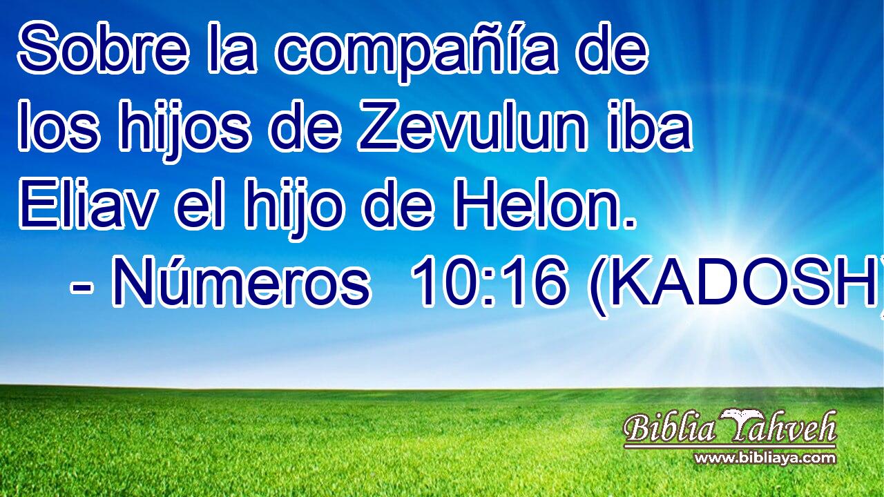  Sobre la compañía de los hijos de Zevulun iba Eliav el hijo de Helon. 