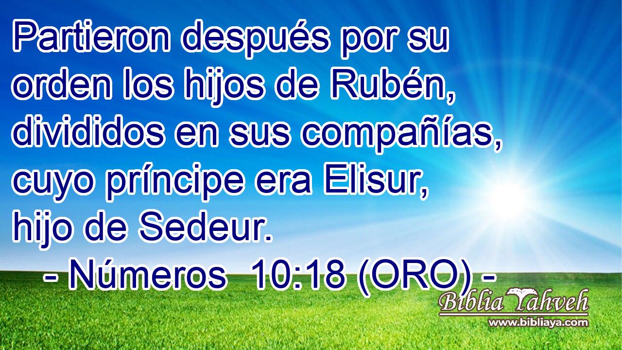  Partieron después por su orden los hijos de Rubén, divididos en sus compañías, cuyo príncipe era Elisur, hijo de Sedeur. 