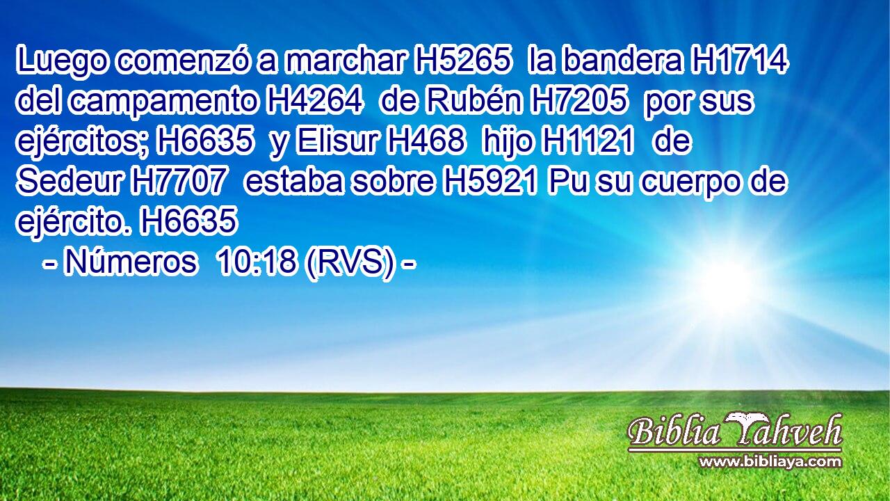 Luego comenzó a marchar H5265  la bandera H1714  del campamento H4264  de Rubén H7205  por sus ejércitos; H6635  y Elisur H468  hijo H1121  de Sedeur H7707  estaba sobre H5921 Pu su cuerpo de ejército. H6635  