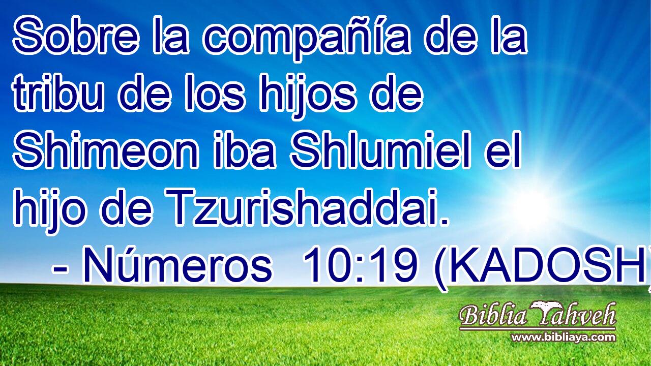  Sobre la compañía de la tribu de los hijos de Shimeon iba Shlumiel el hijo de Tzurishaddai. 