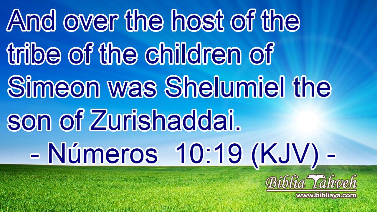 And over the host of the tribe of the children of Simeon was Shelumiel the son of Zurishaddai.