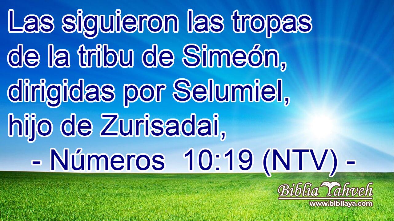 Las siguieron las tropas de la tribu de Simeón, dirigidas por Selumiel, hijo de Zurisadai,