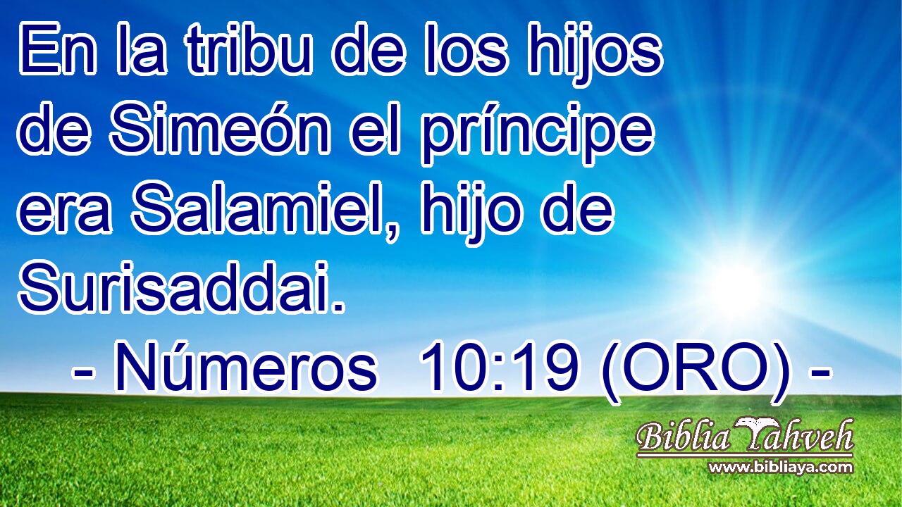  En la tribu de los hijos de Simeón el príncipe era Salamiel, hijo de Surisaddai. 