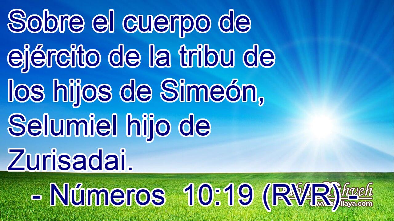 Sobre el cuerpo de ejército de la tribu de los hijos de Simeón, Selumiel hijo de Zurisadai.