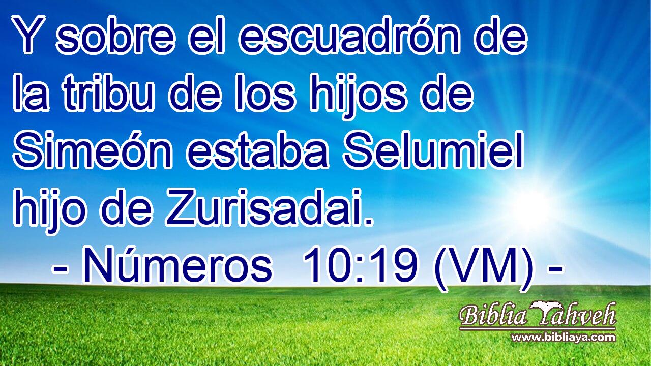  Y sobre el escuadrón de la tribu de los hijos de Simeón estaba Selumiel hijo de Zurisadai. 