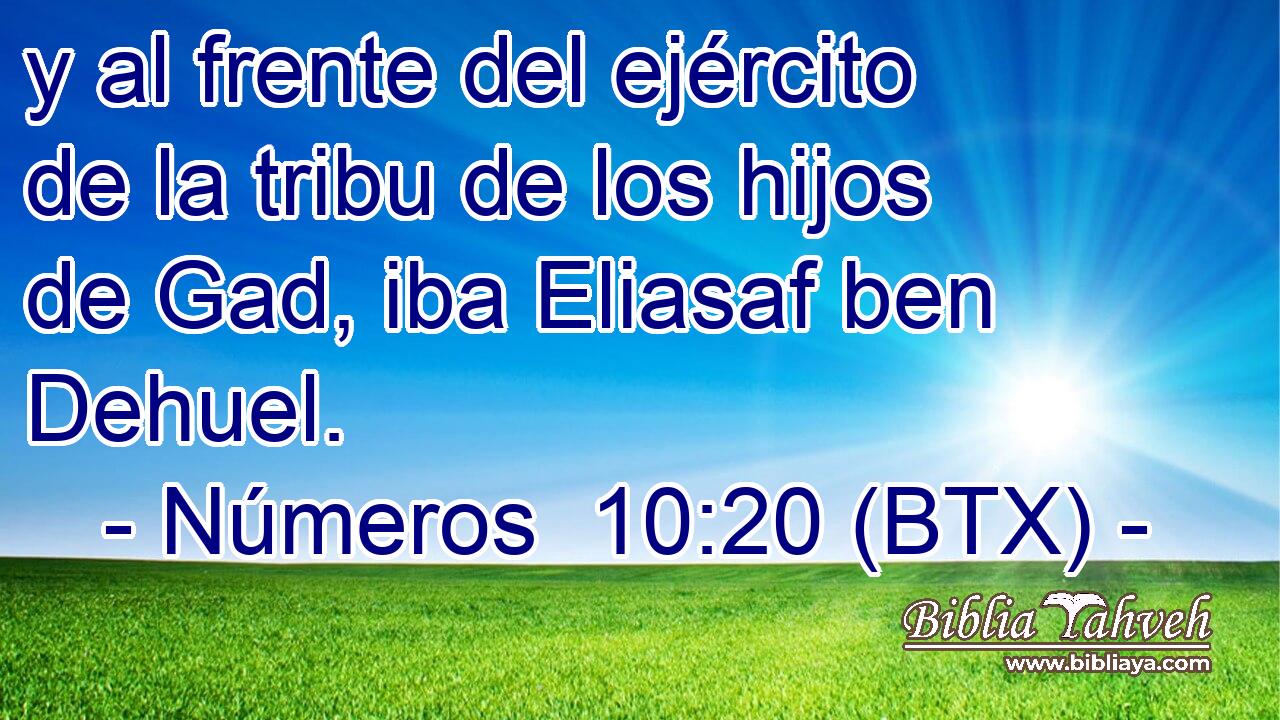 y al frente del ejército de la tribu de los hijos de Gad, iba Eliasaf ben Dehuel.