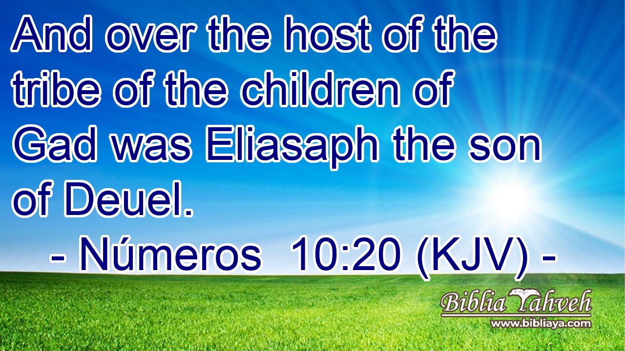 And over the host of the tribe of the children of Gad was Eliasaph the son of Deuel.