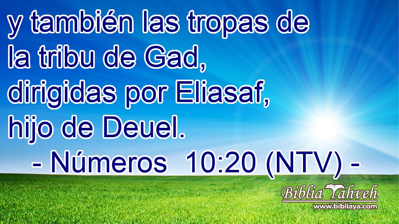 y también las tropas de la tribu de Gad, dirigidas por Eliasaf, hijo de Deuel.