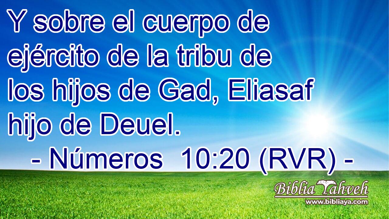 Y sobre el cuerpo de ejército de la tribu de los hijos de Gad, Eliasaf hijo de Deuel.