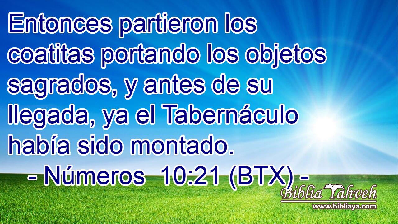 Entonces partieron los coatitas portando los objetos sagrados, y antes de su llegada, ya el Tabernáculo había sido montado.