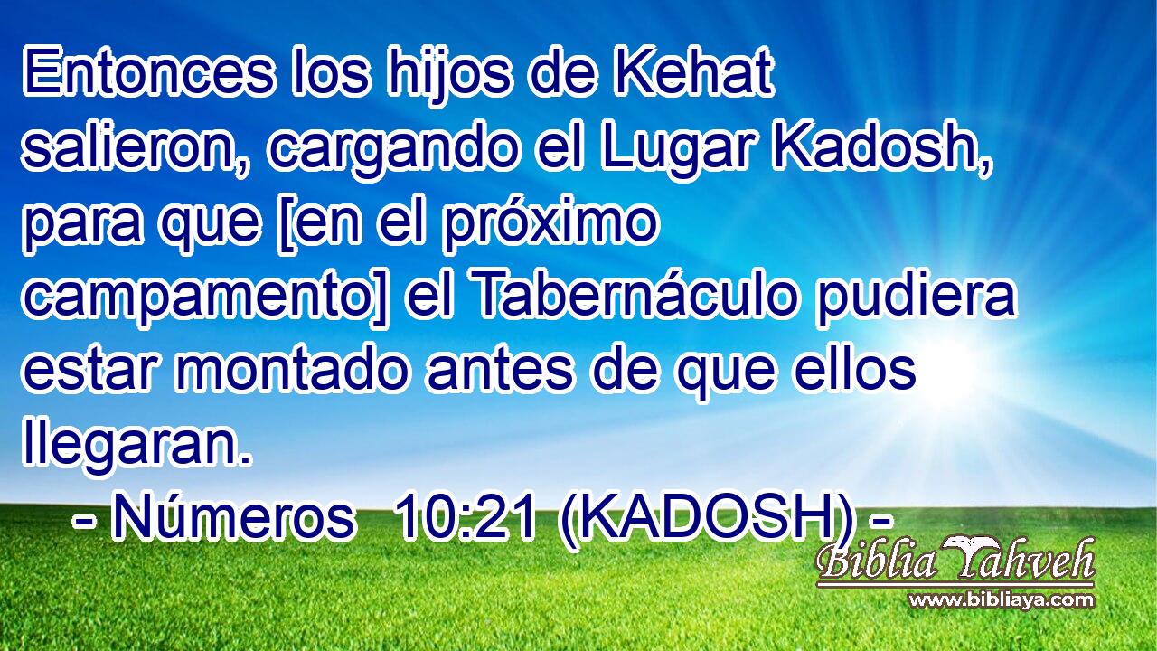  Entonces los hijos de Kehat salieron, cargando el Lugar Kadosh, para que [en el próximo campamento] el Tabernáculo pudiera estar montado antes de que ellos llegaran. 