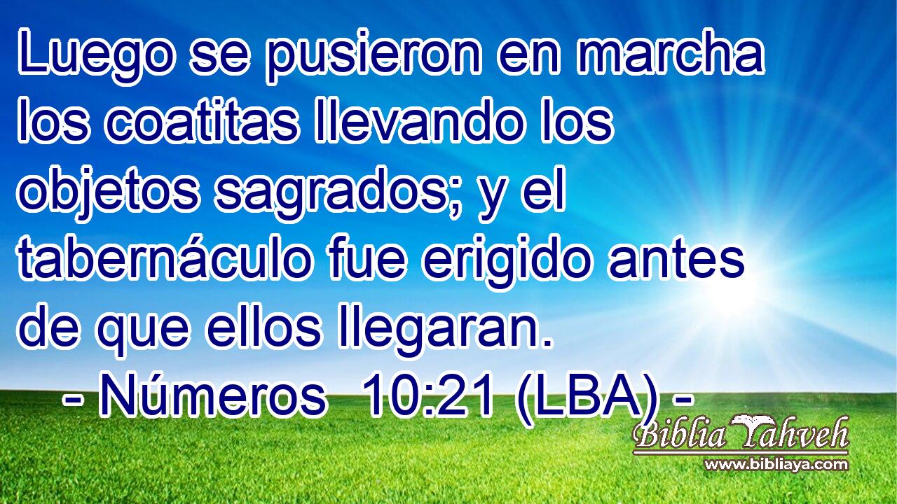 Luego se pusieron en marcha los coatitas llevando los objetos sagrados; y el tabernáculo fue erigido antes de que ellos llegaran.