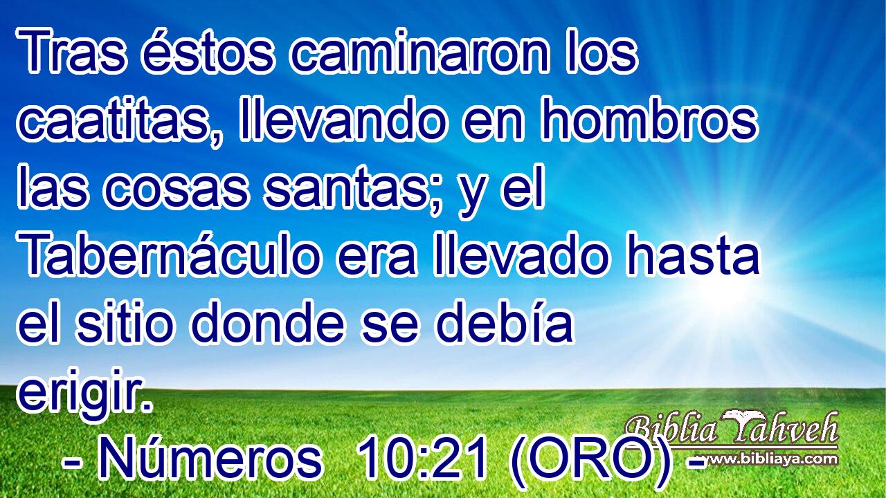  Tras éstos caminaron los caatitas, llevando en hombros las cosas santas; y el Tabernáculo era llevado hasta el sitio donde se debía erigir. 