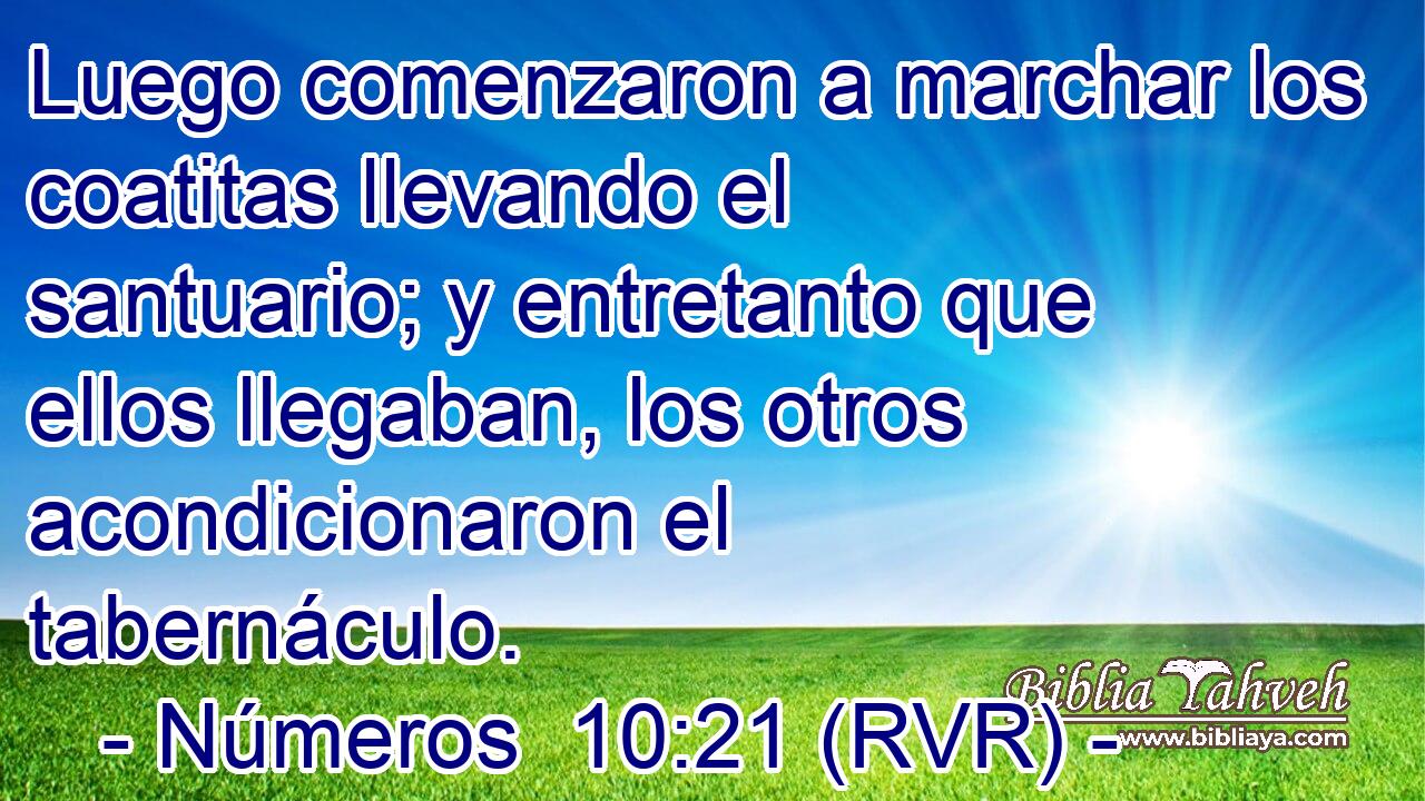 Luego comenzaron a marchar los coatitas llevando el santuario; y entretanto que ellos llegaban, los otros acondicionaron el tabernáculo.